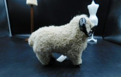 white sheep b